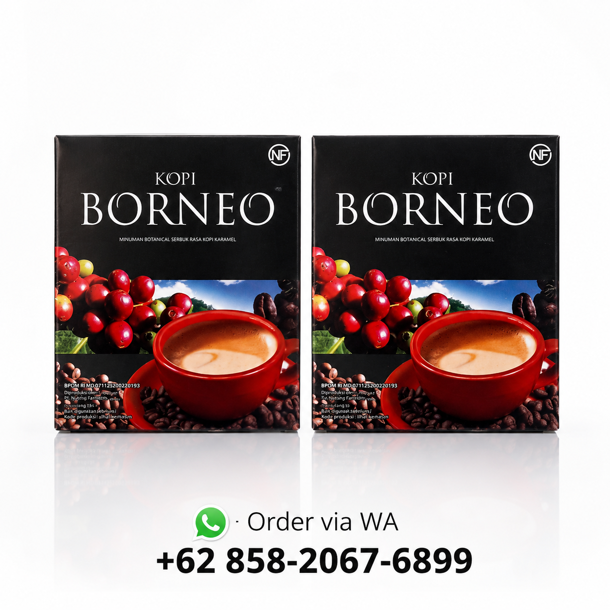 Kopi borneo untuk stamina pria